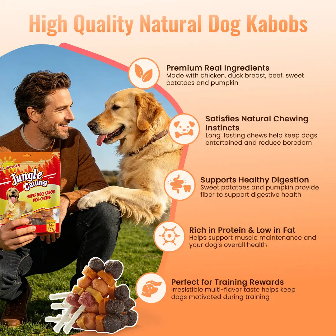 「Buy 1 Get 1 Free」(397G Only) Jungle Calling Chicken, Duck, Beef, Sweet Potato & Pumpkin Kabob Dog Treats, Multi-Flavor Dog Chews, Rawhide Sticks, Chew Sticks, Kabob Treats, Pet Snacks, Reward Treats, Training Treats, Dog Snack Sticks,